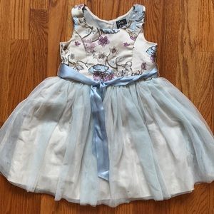 Pink & Violet Fancy dress